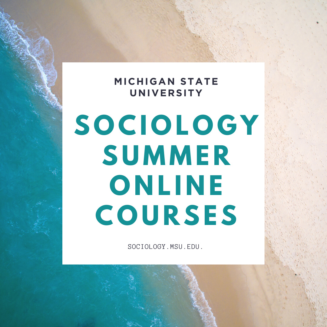 Sociology Offering Summer Online Courses
